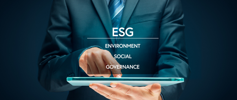 ESG-oriented Organizations: Risks to Stakeholders